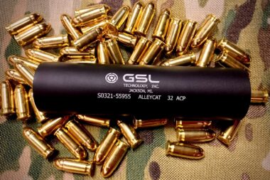 Alternative view of Alleycat (32ACP) SAL100