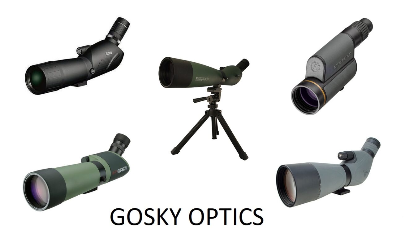 GSL Technology, Inc.